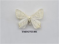 藏品(尺蛾321)的圖片